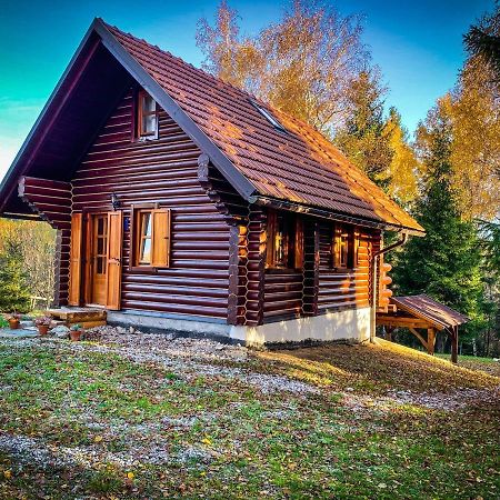Pine Lodge Hlevci Екстериор снимка