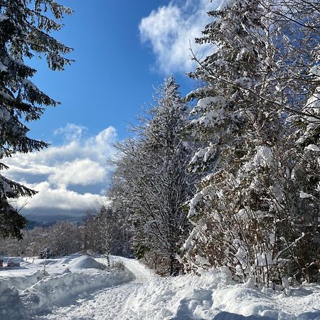 Pine Lodge Hlevci Екстериор снимка