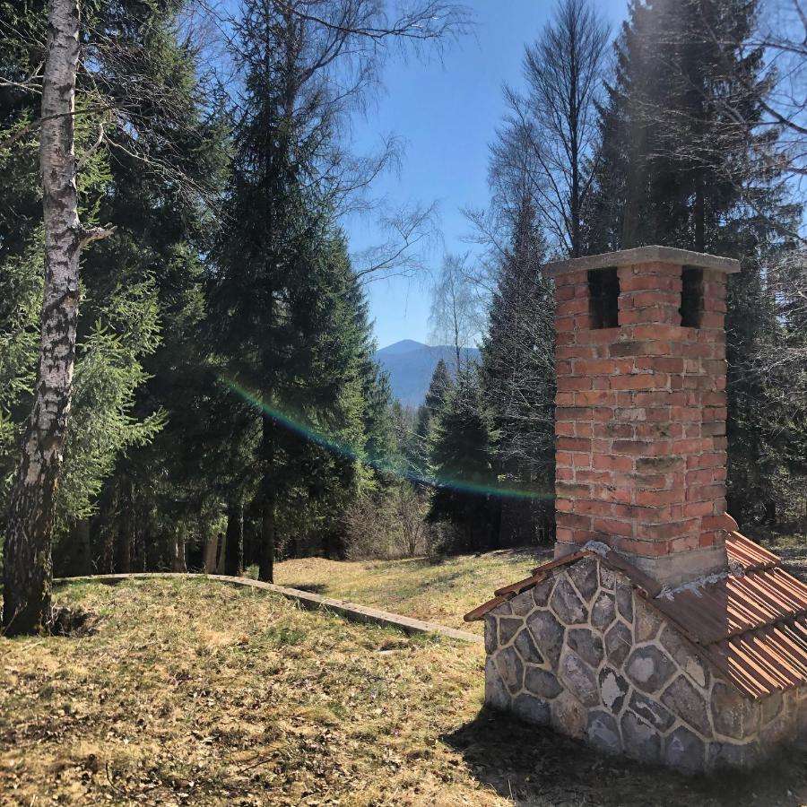 Pine Lodge Hlevci Екстериор снимка