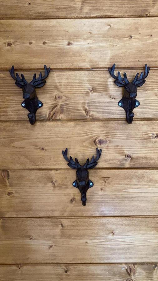 Pine Lodge Hlevci Екстериор снимка