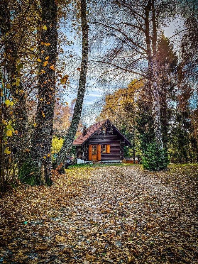 Pine Lodge Hlevci Екстериор снимка