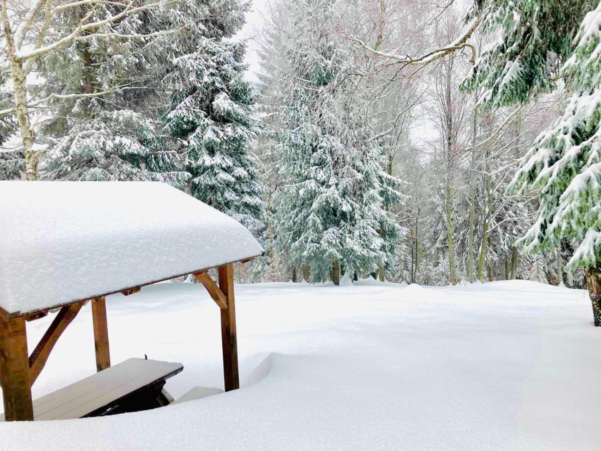 Pine Lodge Hlevci Екстериор снимка