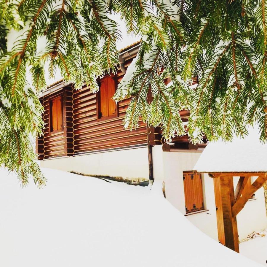 Pine Lodge Hlevci Екстериор снимка