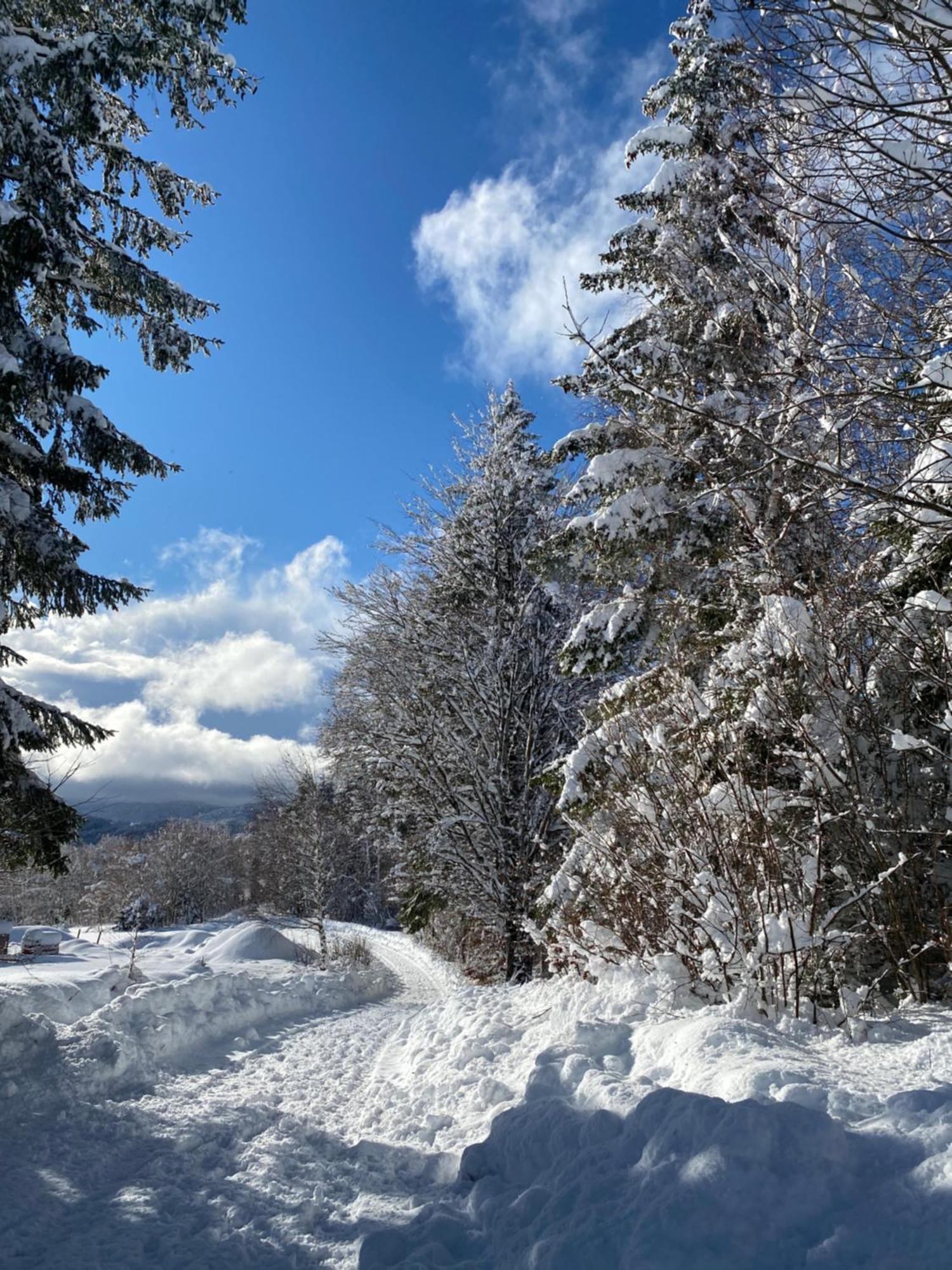 Pine Lodge Hlevci Екстериор снимка
