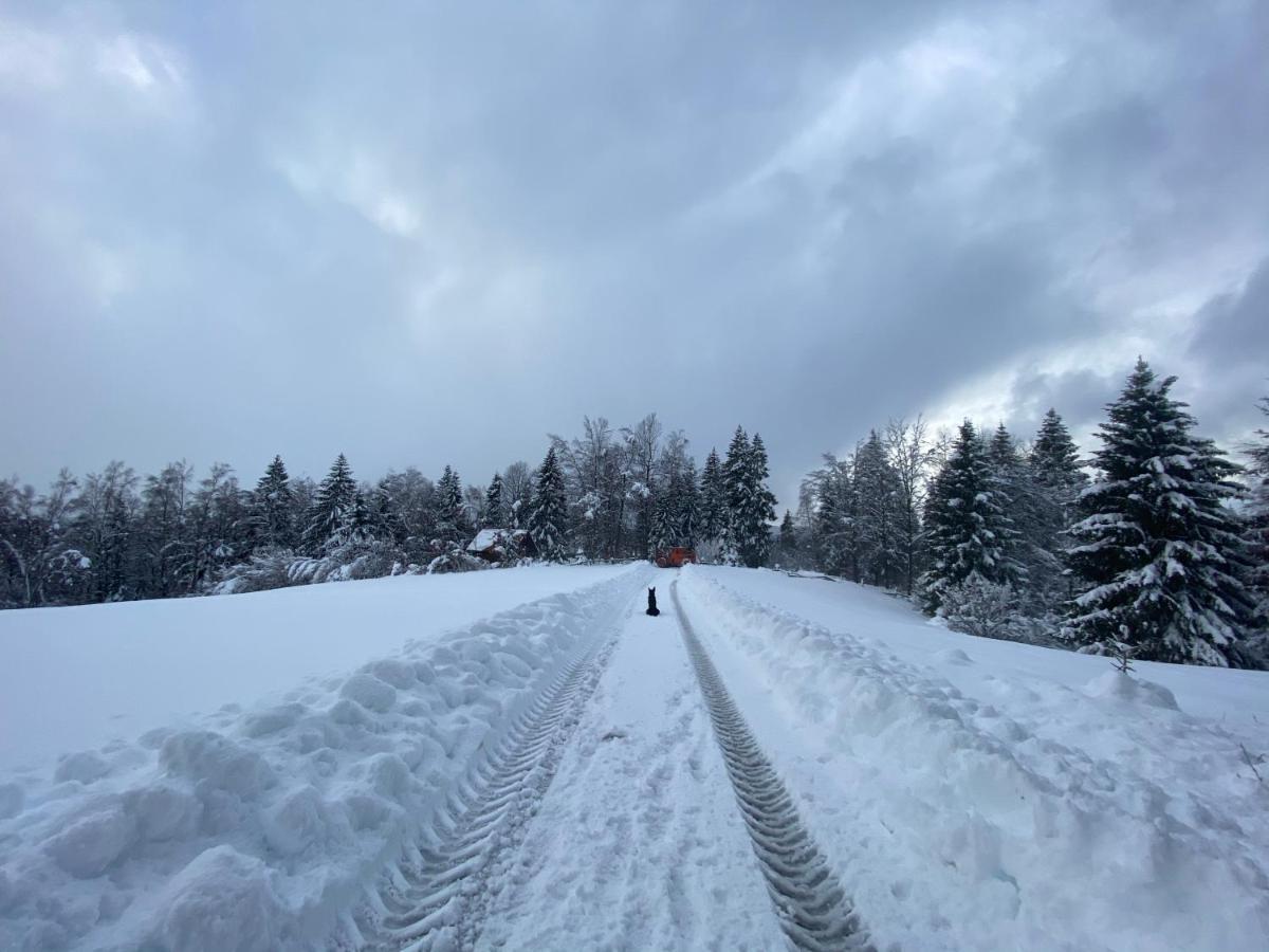 Pine Lodge Hlevci Екстериор снимка